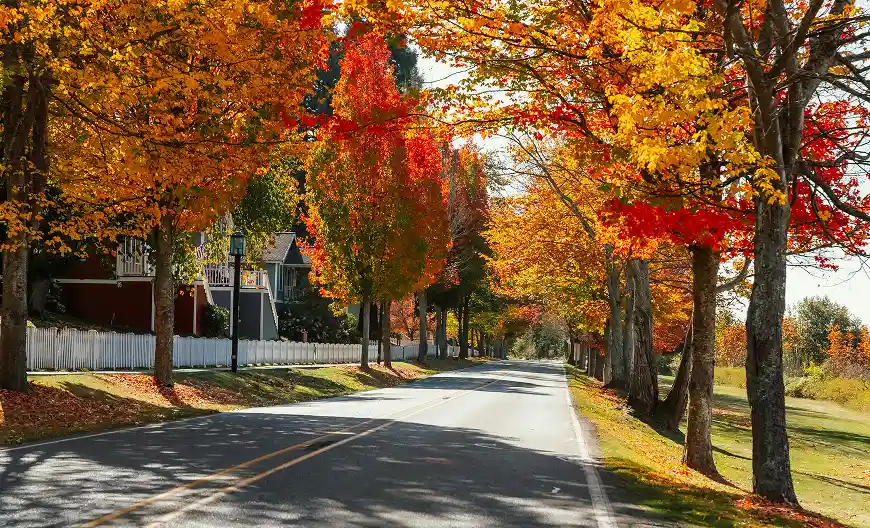 Scenic autumn road lined with vibrant red and yellow foliage.